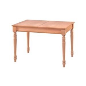 120 lik açılır torna ayak ham yemek masası