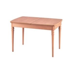 120 lik balon ham yemek masası