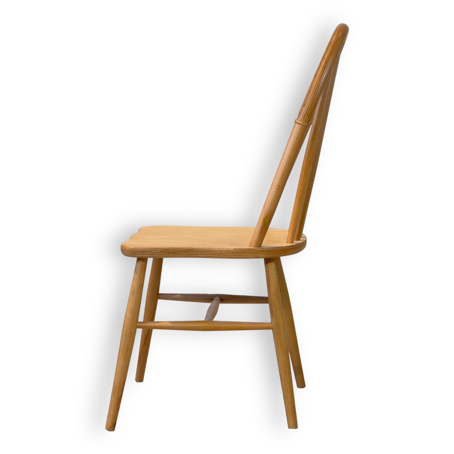 begonia modern sandalye begonia modern sandalye